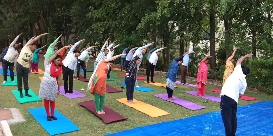 Group practising a standing side stretch outdoors on yoga mats