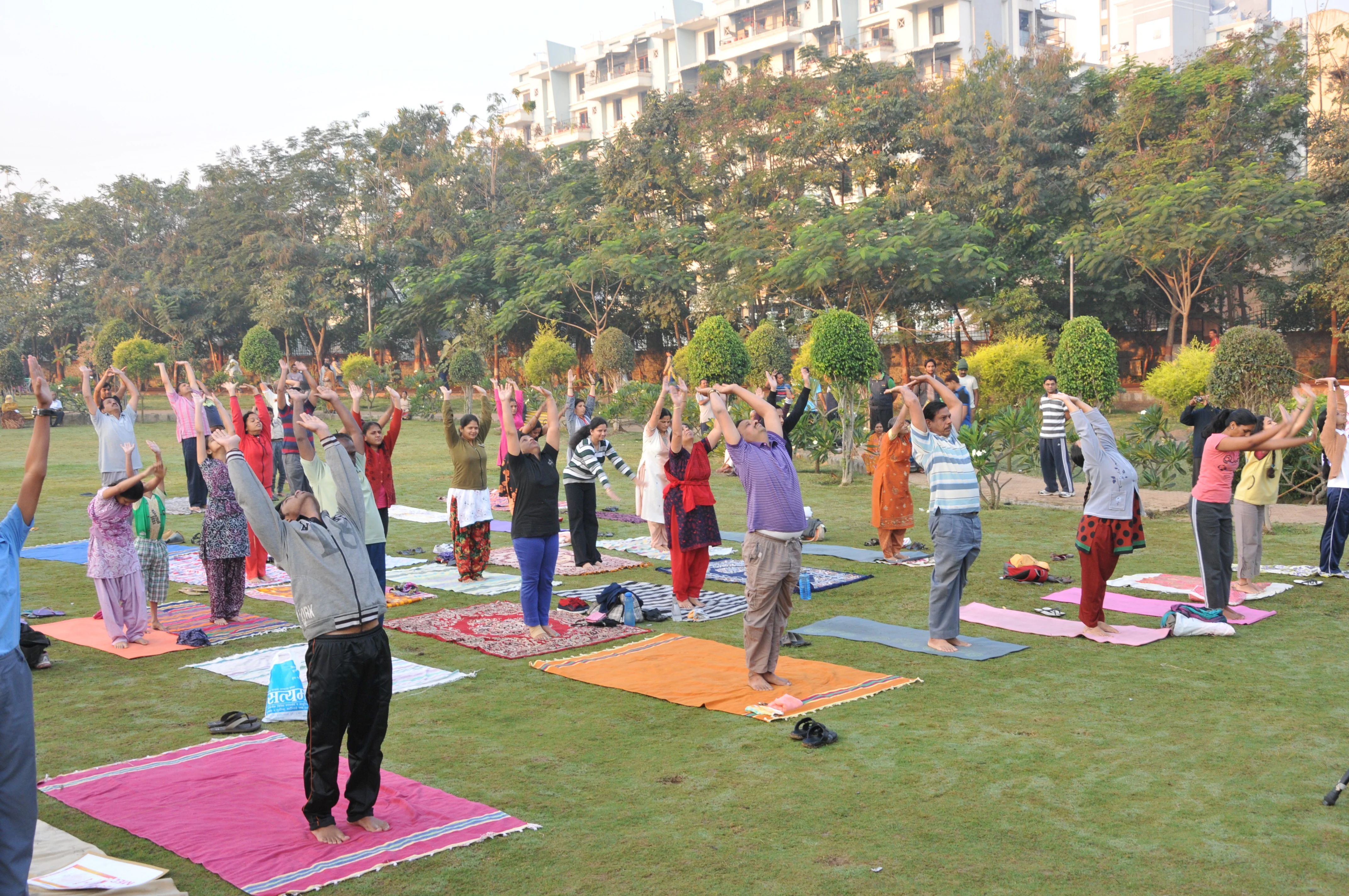 Large group yoga session on a green lawn in Pune